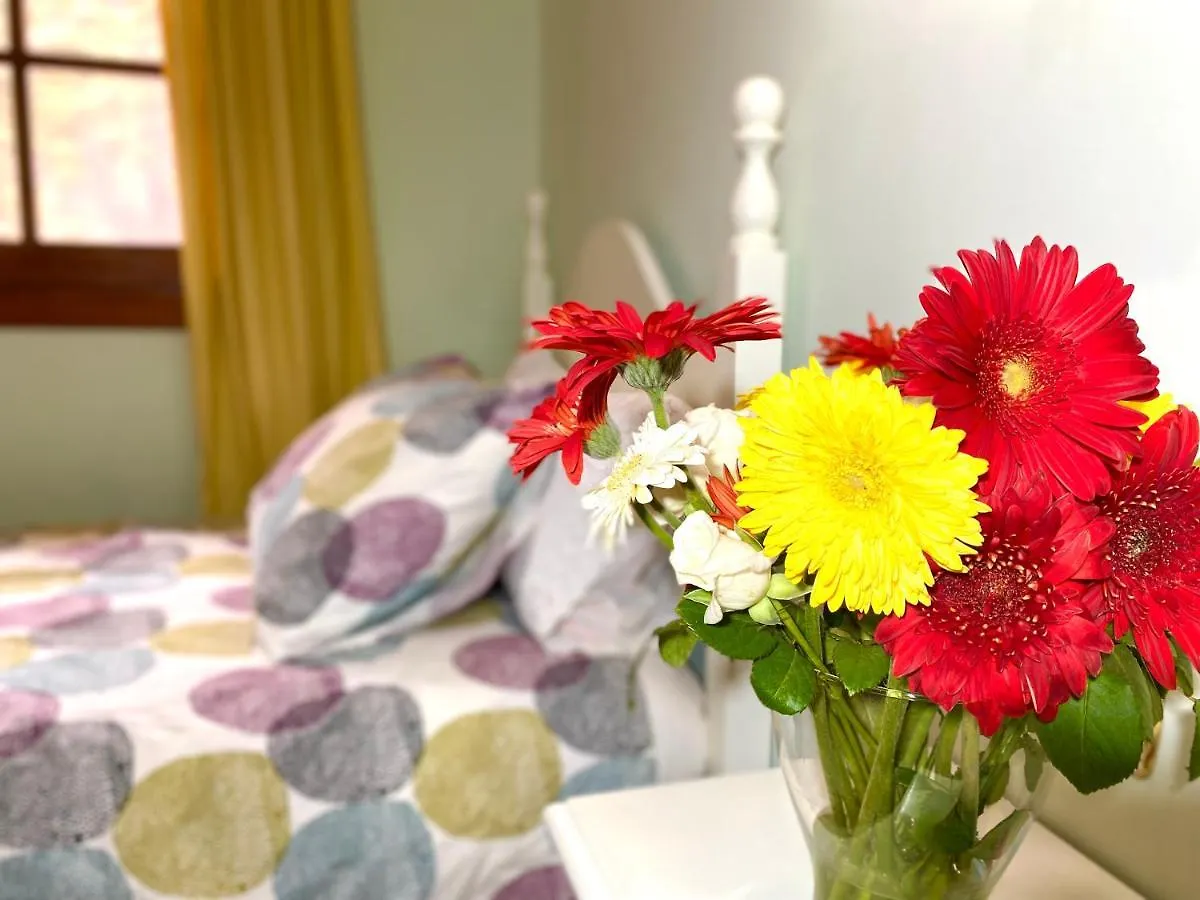 Appartement Maravilloso Apartamento Vistas Al Mar Y Volcan Garachico